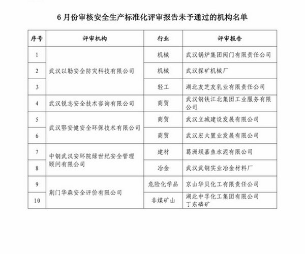6月份安全生产标准化评审组织工作简报（定稿）-1.jpg