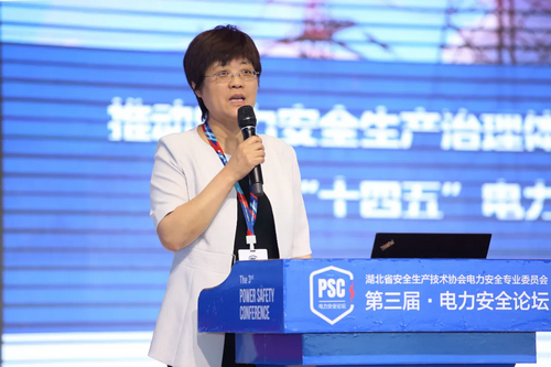 6  国家能源局电力安全监管司副司长阎秀文发表重要讲话.png